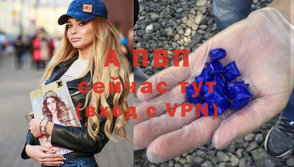 прущие грибы Вязьма